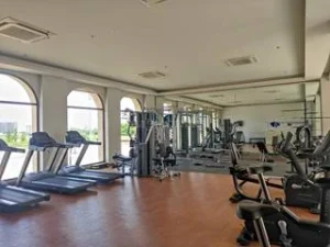 Emaar Palm Hills Gym